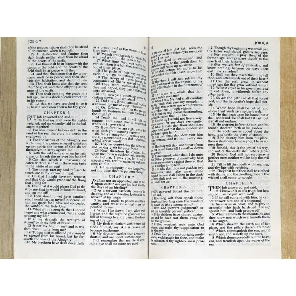 Vintage 1985 KJV Drill Bible Holman Blue Hardcover King James Version 1611